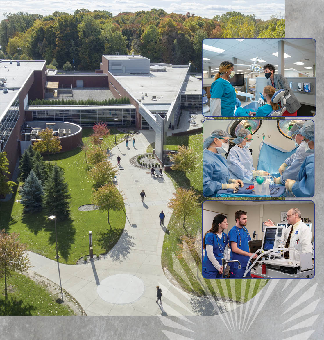 Get Started At Macomb Macomb Community College Acalog ACMS 